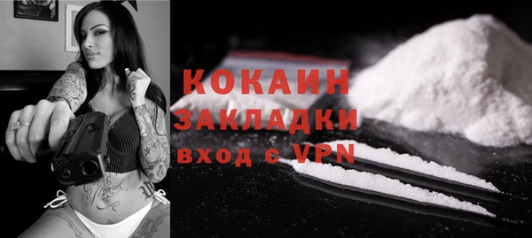 шишки Арсеньев