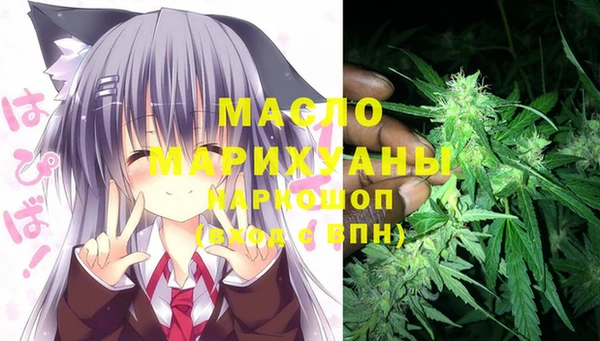 шишки Арсеньев