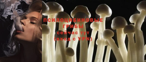 шишки Арсеньев