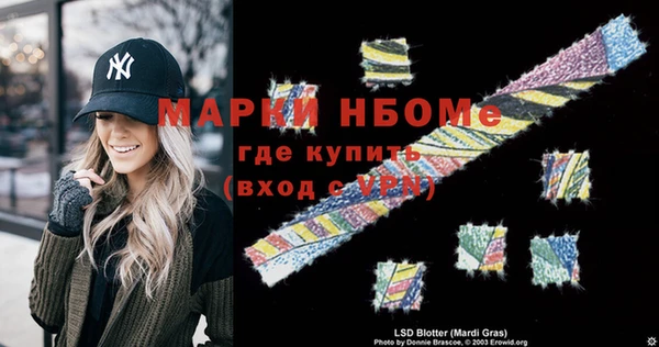 шишки Арсеньев