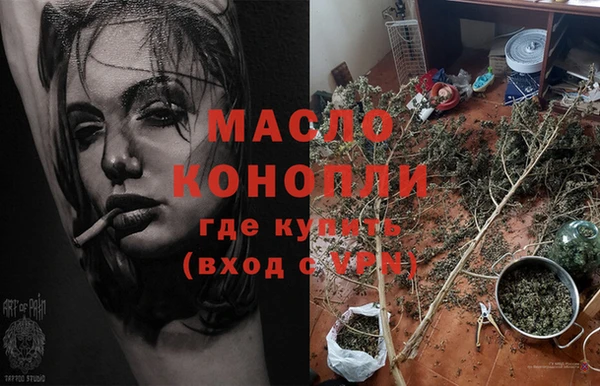 шишки Арсеньев