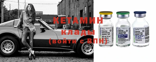 шишки Арсеньев