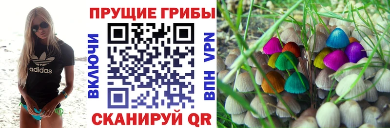 Галлюциногенные грибы GOLDEN TEACHER Певек