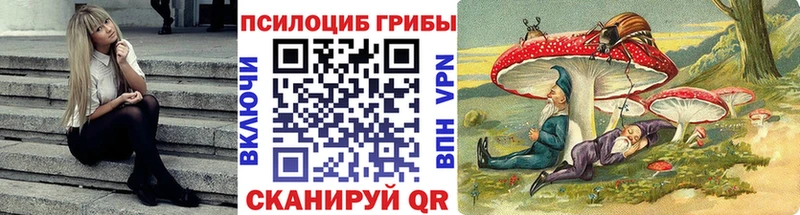 Галлюциногенные грибы MAGIC MUSHROOMS  kraken сайт  Певек  закладки 